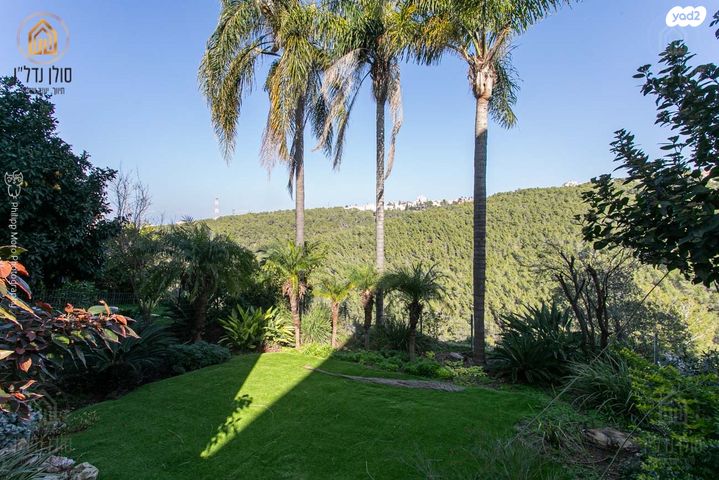 דו משפחתי, הוד הכרמל, דניה, חיפה