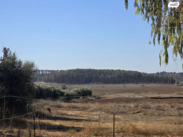 משק חקלאי/ נחלה, טל שחר