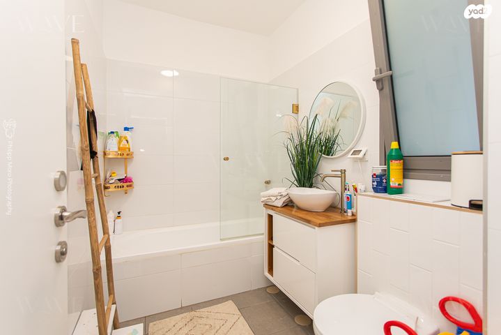 דירה, האנפה, החותרים, טירת כרמל