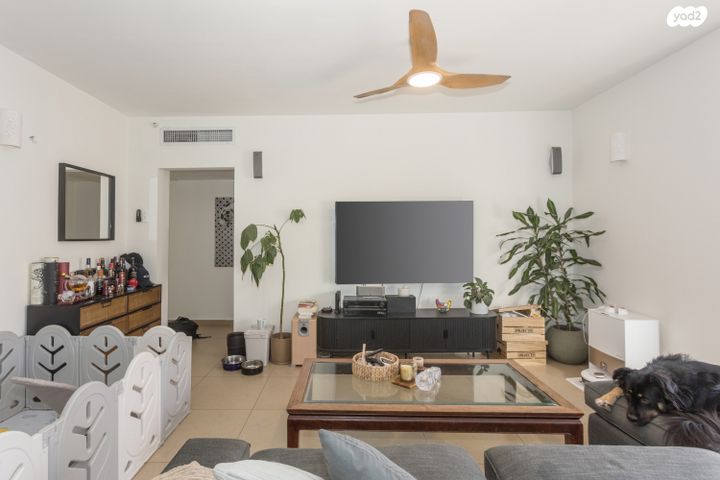 דירה, אלישיב, כרם התימנים, תל אביב יפו