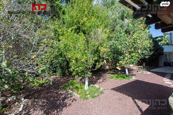 דירת גן, ורדיה, חיפה