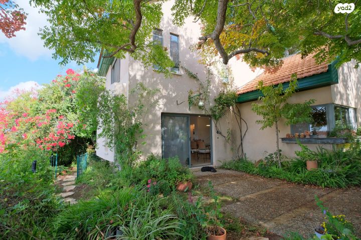 דרך הסנונית 