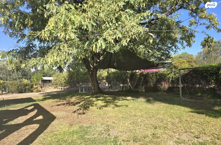 משק חקלאי/ נחלה, טל שחר