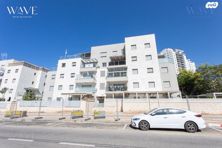 דירה, השחף, החותרים, טירת כרמל