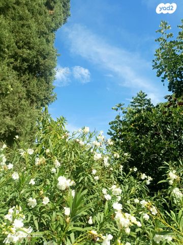 דירה, רמב"ן 7, הדר עליון, חיפה