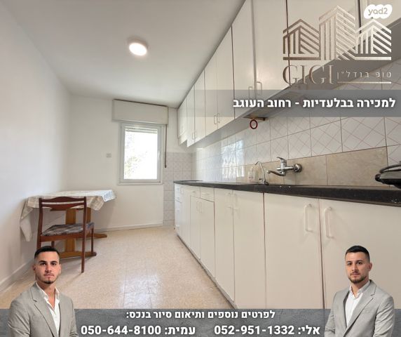 דירה, העוגב, כלי שיר, מעלה אדומים