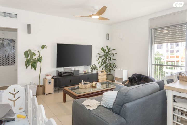 דירה, אלישיב, כרם התימנים, תל אביב יפו