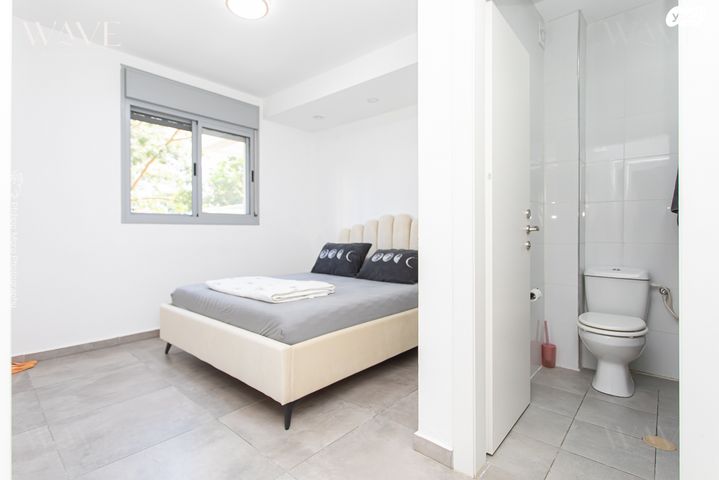 דירה, השחף, החותרים, טירת כרמל