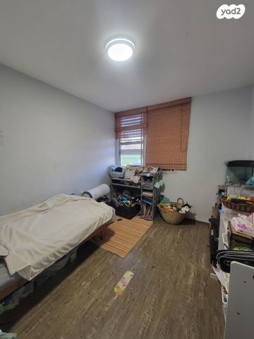 דירה, לוחמי הגטאות, דרום, צפת