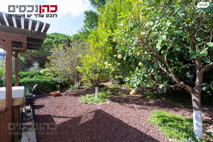 דירת גן, ורדיה, חיפה