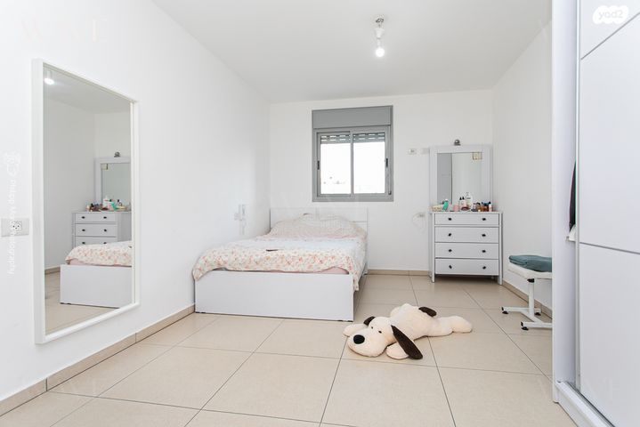 דירה, הגל, החותרים, טירת כרמל