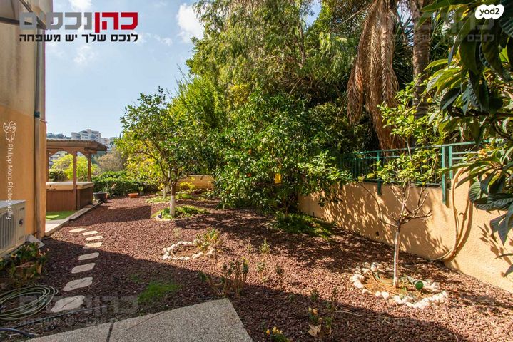 דירת גן, ורדיה, חיפה