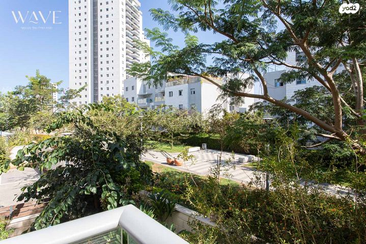 דירה, השחף, החותרים, טירת כרמל