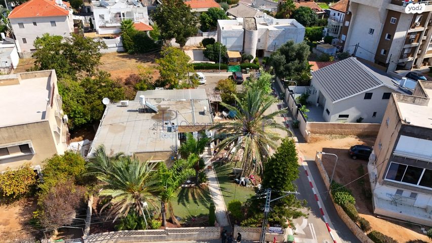 מגרשים, החשמונאים, צפון מזרח מרכז העיר, נתניה