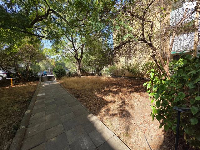 דירה, נתיב הלוטוס, כרמיאל