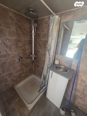 דוד וולפסון 