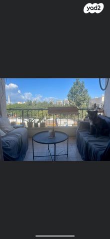 שלומציון המלכה 