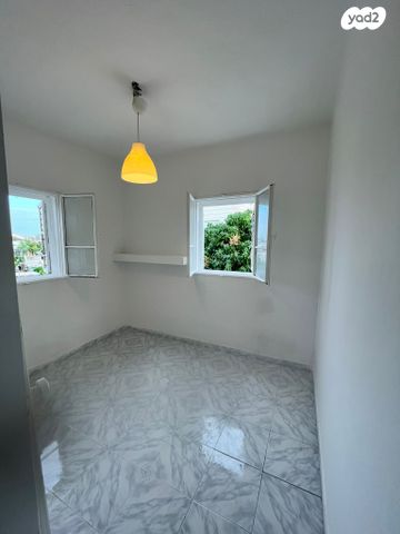 מקס וג'סי כהן 