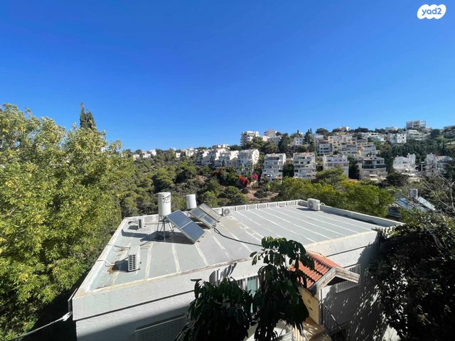 דירה, כרמליה, חיפה