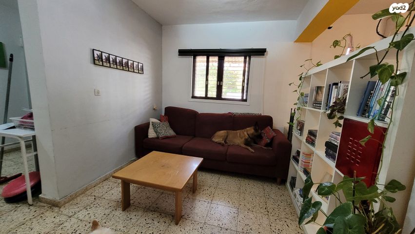 ברל כצנלסון 36