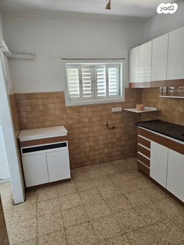 דוד פרנקפורטר 