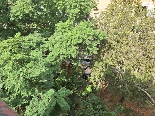 דירה, מרום נווה, רמת יצחק, רמת גן