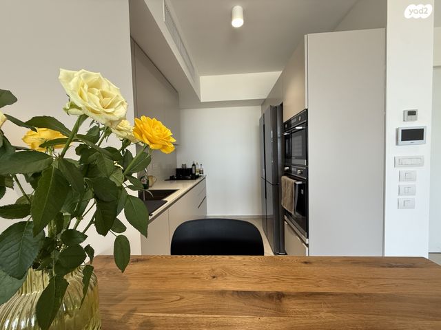 דירה, אילת, צפון יפו, המושבה האמריקאית-גרמנית, תל אביב יפו