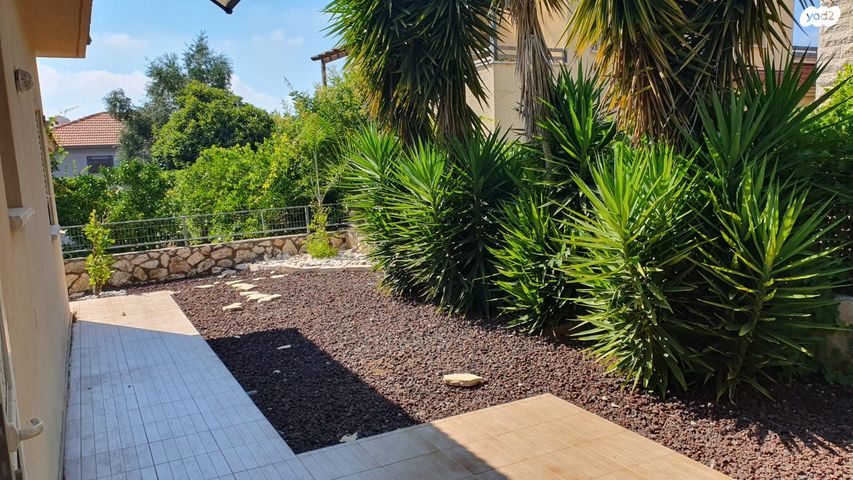 יחידת דיור, טופח, סביונים, מעלות תרשיחא