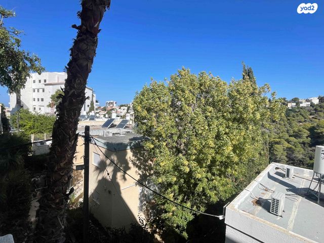 דירה, כרמליה, חיפה