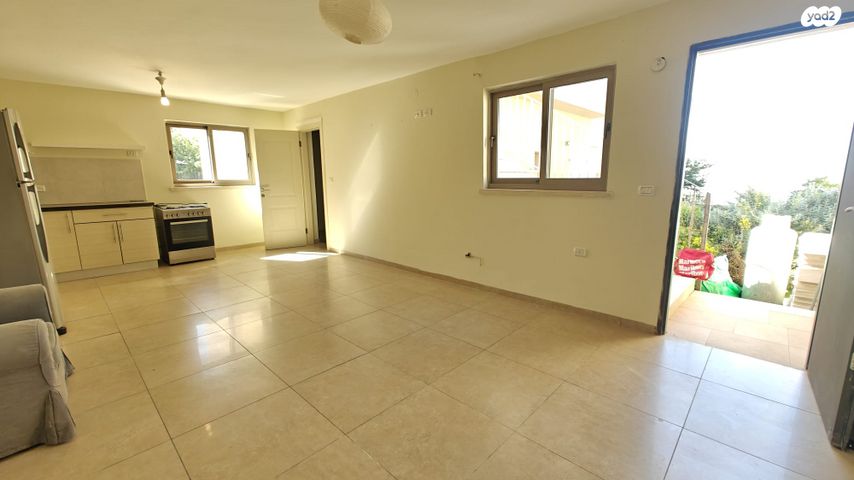 להקת כוורת 19