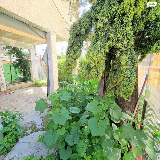 דירה, די רוסי, קרית שלום, תל אביב יפו