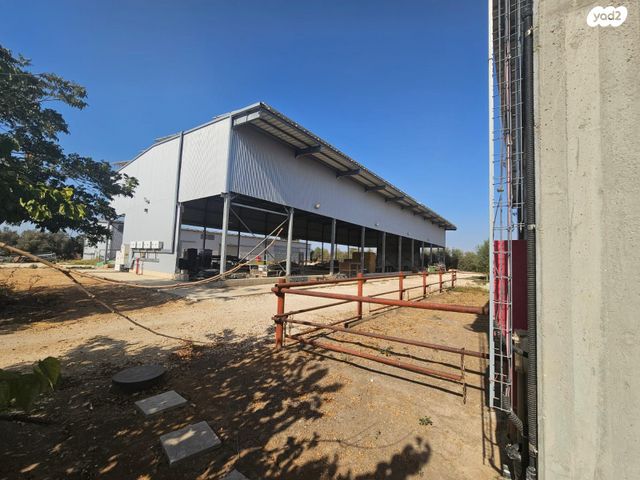 מחסנים, דרך הכפר, גיאה, גיאה