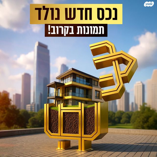 מגרשים, המייסדים, טירת שלום, נס ציונה