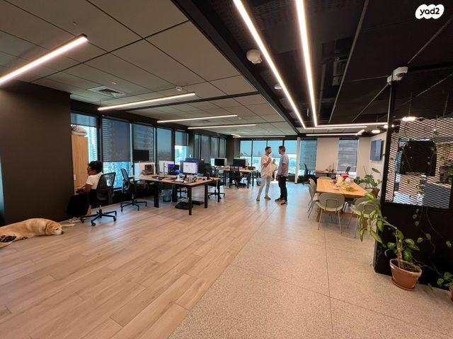 דרך מנחם בגין 