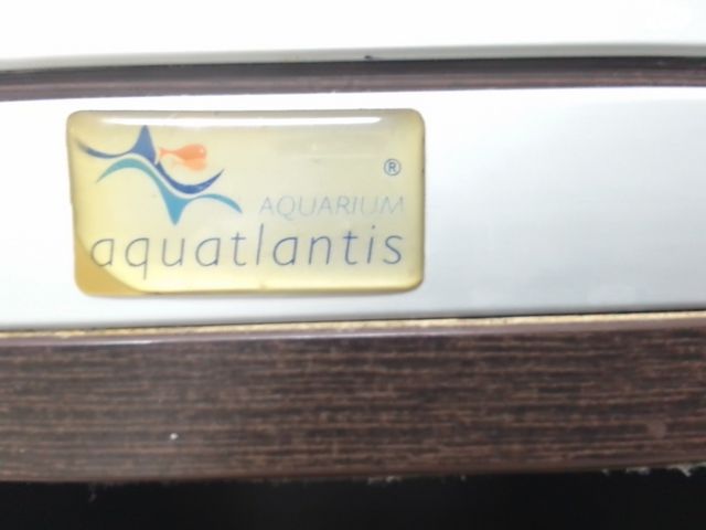 אביזרים | אקווריום