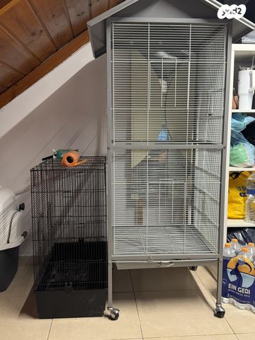 תמונת מודעה - חיות מחמד