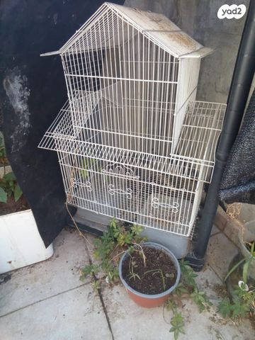 תמונת מודעה - חיות מחמד