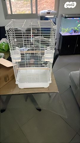 תמונת מודעה - חיות מחמד