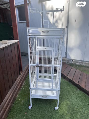 תמונת מודעה - חיות מחמד