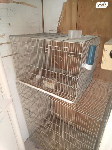 תמונת מודעה - חיות מחמד