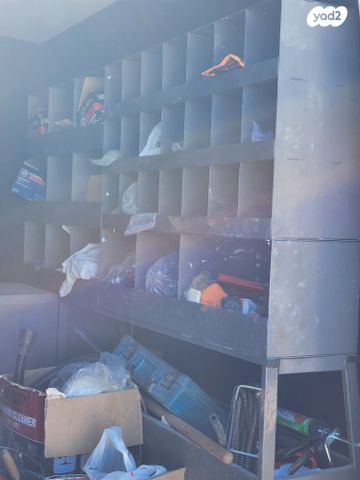 איווקו דיילי