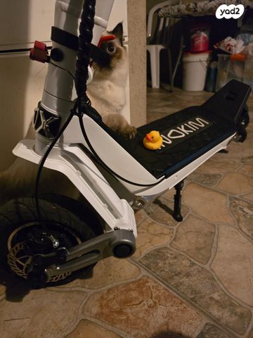 מודעת רכב אחר