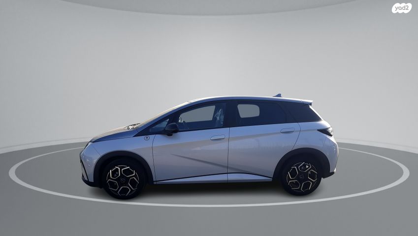 בי.ווי.די דולפין