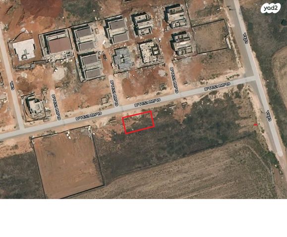 פריחת הדרים 8