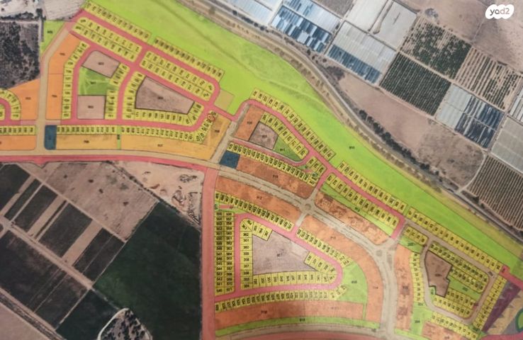 שייקה אופיר 12