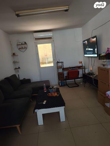 צבי בורנשטיין 312