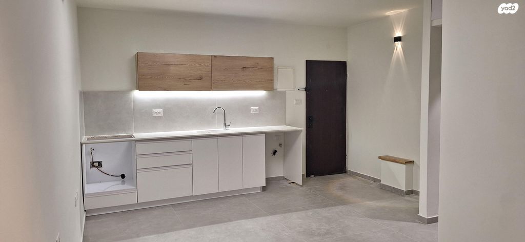 זאב ז'בוטינסקי 14