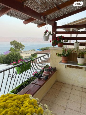 כליל החורש 7