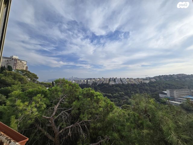 דירה, שדרות ודג'ווד 36, מרכז הכרמל, חיפה