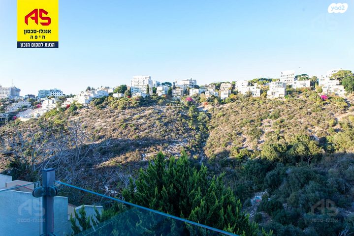 ראול ולנברג 